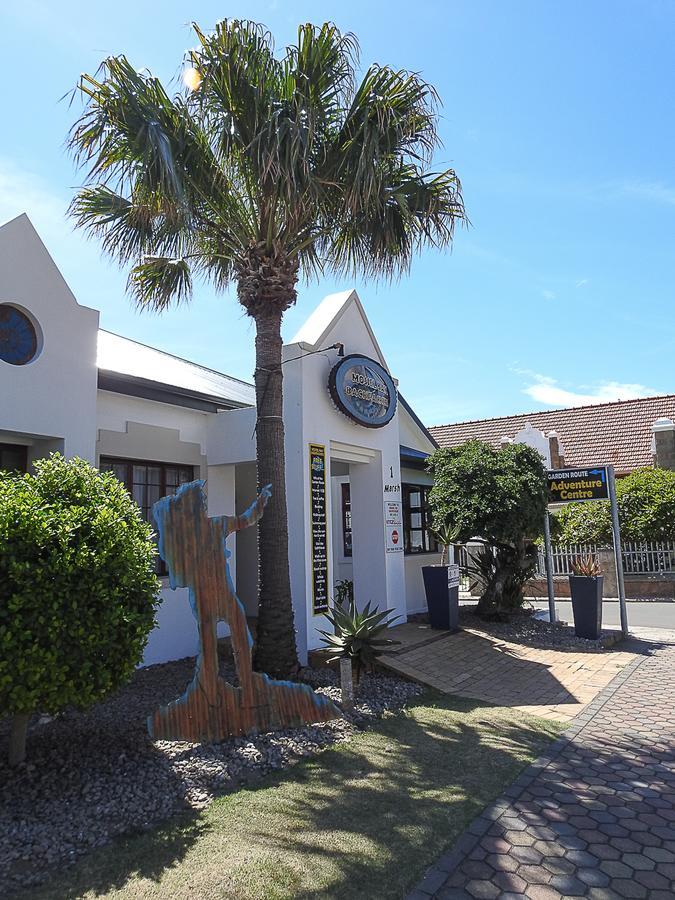 莫塞尔湾 Mosselbay Backpackers旅舍 外观 照片